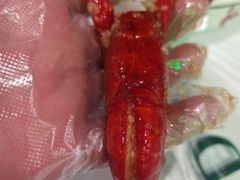 -虎虎龙虾大排档(双井店)