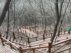 -大岭沟猕猴桃谷风景区