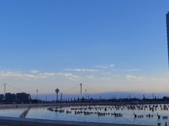 -星海广场