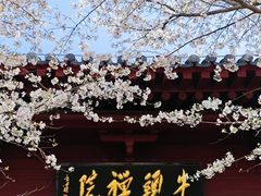 -牛首山文化旅游区