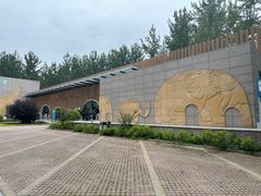 -秦皇岛野生动物园
