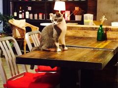 iphone_upload_pic-MIKAKU(万达广场上海宝山店)