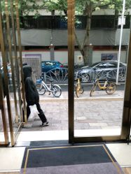 -YESIDO椰岛造型