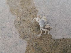 -六鳌翡翠湾滨海度假景区