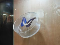 -陕西自然博物馆