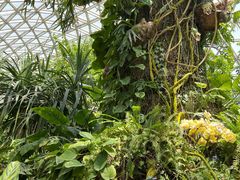 -上海辰山植物园