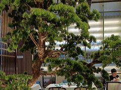 -聆桂烤鸭·金奖烤鸭(静联广场店)
