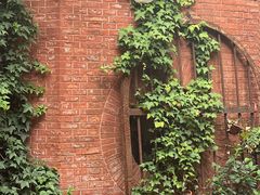 -Ocean's Table 欧舍