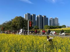 -光明小镇欢乐田园