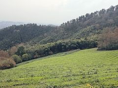 -敬亭山风景名胜区