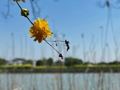 -梁鸿国家湿地公园