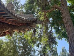 -张掖大佛寺景区