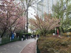-西安市长乐公园