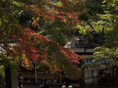 -三千院