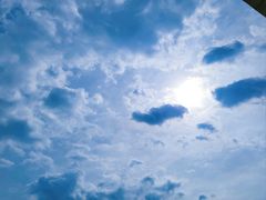 -世界恐龙谷景区