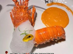 -西郊5号·Maggie 5