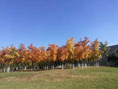 -长春世界雕塑园冰雪艺术天地