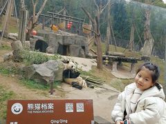 -都江堰中华大熊猫苑