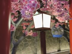 -蓝鲸湾汤泉(包河店)