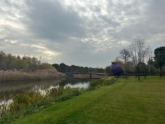 -养云安缦吧THE BAR