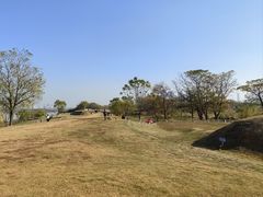 -盘龙城国家考古遗址公园