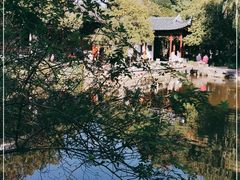 -秋霞圃