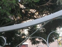 -岳阳道小学(大理道校区)