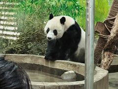 -柳州市动物园