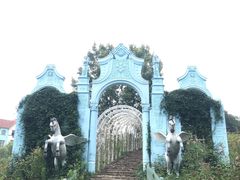 -大塘金香草谷