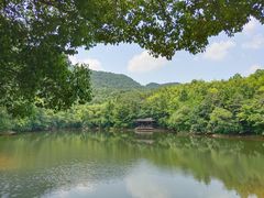 -杭州半山国家森林公园