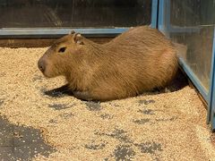 -常州海昌海洋探索馆