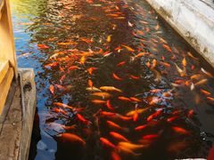 -威海华夏城景区