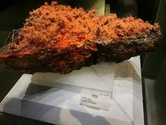 -湖南省地质博物馆