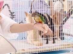 -成都银泰城