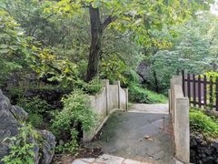 -阳台山自然风景区