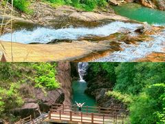 -广州白江湖森林公园