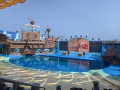 -海合安青岛极地海洋公园