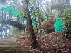-南山植物园