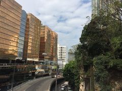 -九龙公园