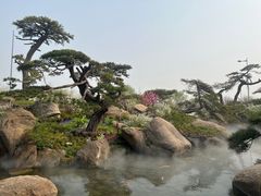 -罗红摄影艺术馆