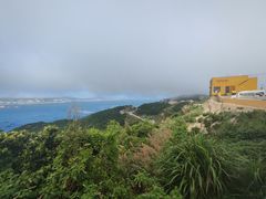 -枸杞岛
