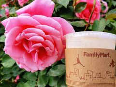 -全家便利店(莲花池东路店)