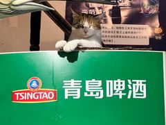 -洪齐林老镇