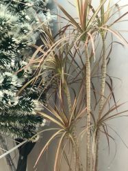 -THE LOG SALON 记录