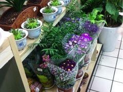 iphone_upload_pic-大润发(浒关店)