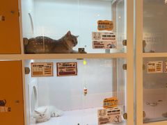 -狗道宠物(常熟印象城店)
