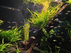 -上海海洋水族馆