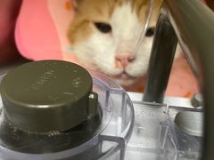 -瑞派申生动物医院·24H夜诊·国际动物医疗中心·骨外科(吴中路店)