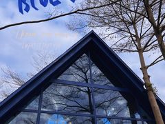 -森波拉奇妙世界