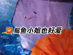 -重庆欢乐海底世界